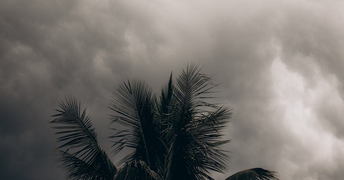 Cover Image for How Many Times Can a Hurricane Deductible Apply in One Year?