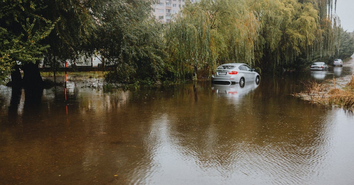 Cover Image for Can Condo Owners Buy Flood Insurance? A Complete Guide to Your Options